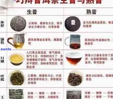 金大福与大益普洱茶：口感对比、品质分析及选购指南，一次搞定！