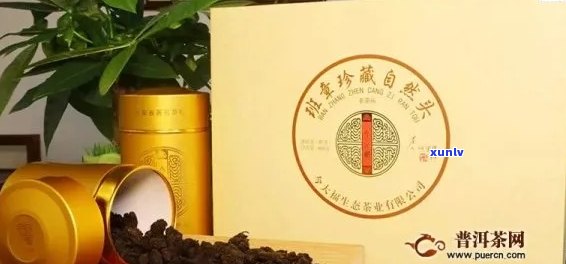 金大福与大益普洱茶：口感对比、品质分析及选购指南，一次搞定！