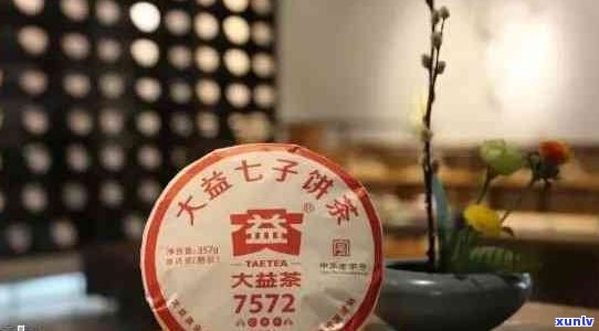 金大福与大益普洱茶的差异：特色、品质与口感