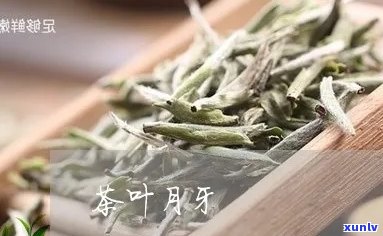 月牙茶是什么茶种类及其功效与 ***  *** 详解