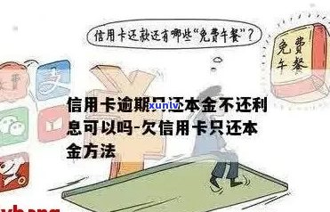 欠信用卡逾期后只还本金是否可行及其影响：完整解答与注意事项