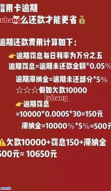 信用卡逾期费用减免申请及相关标准