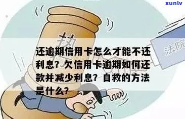 新 '逾期还款困扰？信用卡年费策略助你轻松应对'