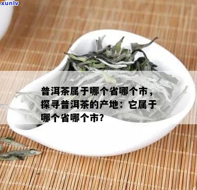 昔堂普洱茶的产地是哪里？