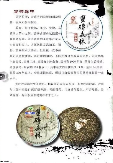 新云南特产昔堂普洱茶：源自古茶山的独特风味与历传承