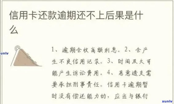 信用卡逾期一年可能带来的影响及应对策略：详细解读与建议