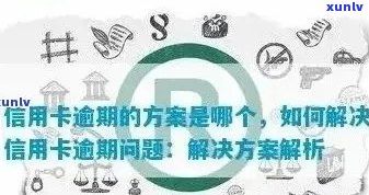 逾期一年信用卡：后果、处理策略与信用修复指南