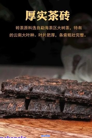 '大叶之家经典普洱熟茶官网：品质茶叶云南大叶牌，十年金砖熟茶价格解析。'