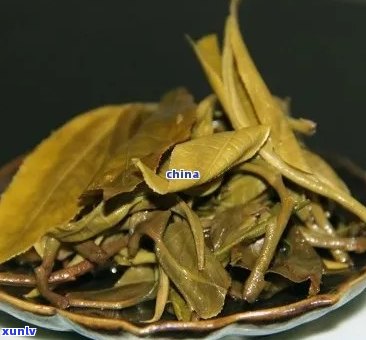 大叶青茶：一种独特的普洱茶品种及其特点解析