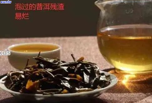 普洱茶渣的妙用：如何将其转化为花卉养护利器？