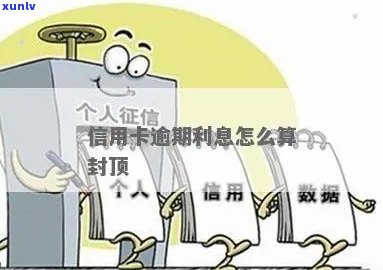 信用逾期利息有封顶吗？计算 *** 、合理性与标准利率等相关问题解答