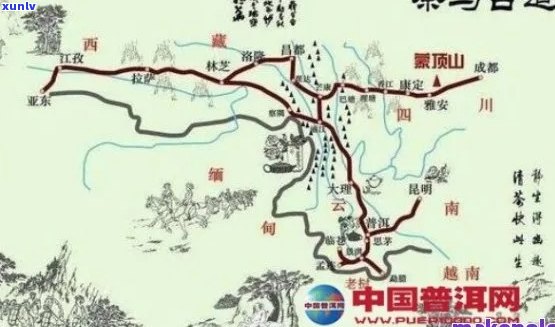 普洱茶江山如画：品茗之旅、文化探索与地理风情一览无余