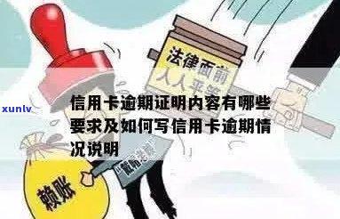 信用卡逾期个人说明情况怎么写范文：范本与记录说明