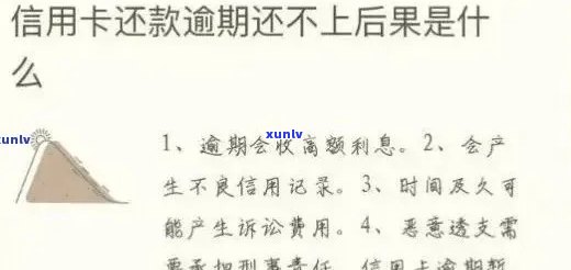 信用卡逾期个人说明：如何撰写全面、详细的说明书以解决您的问题