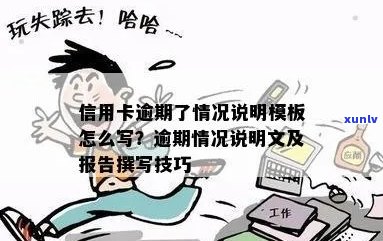 怎样写信用卡逾期报告：材料模板与范文详解