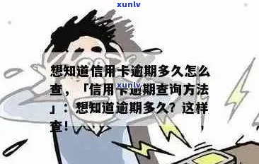 如何查询信用卡逾期信息：完整指南与实用建议