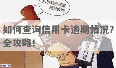 信用卡逾期信息查询攻略：如何追踪逾期还款进度与解决方案