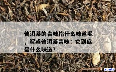 新如何识别普洱茶中的青味？掌握这几个要点就够了！