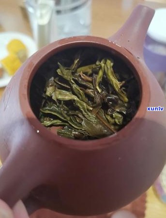 全面解析普洱茶青味：如何辨别优质茶叶与劣质茶叶？