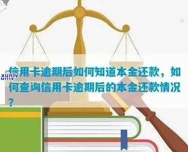 信用卡逾期如何查询本金多少：了解详细 *** 及处理建议