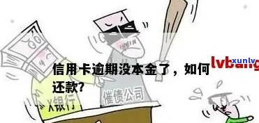 信用卡逾期如何查询本金多少：了解详细 *** 及处理建议