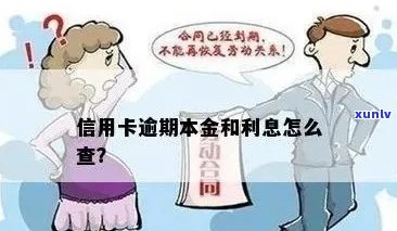 信用卡逾期如何查询本金多少：了解详细 *** 及处理建议