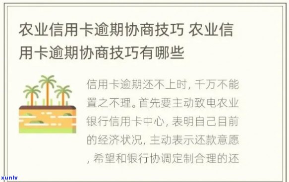 农业信用卡逾期一天的后果及解决办法，了解逾期影响和应对策略