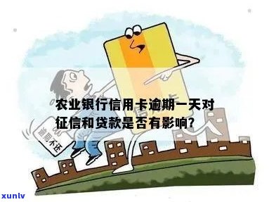 农业逾期一天是否会影响？了解详细情况请看本文！