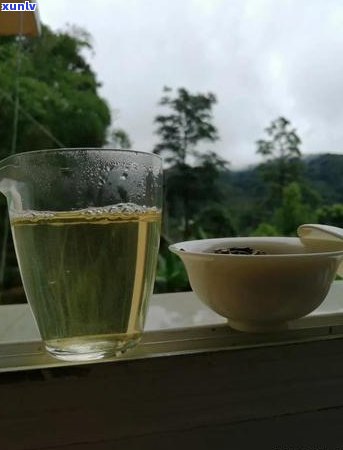 曼松普洱茶价格高昂的原因解析：品种、产地、 *** 工艺等多重因素影响