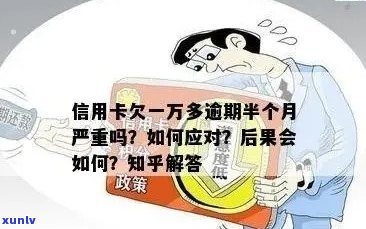 信用卡逾期欠款1万：解决方案、影响与应对策略全面解析