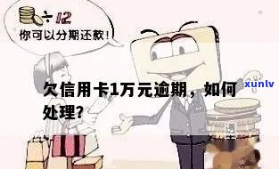 信用卡逾期欠款1万怎么处理：解决方案