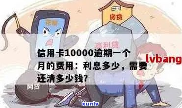 信用卡10000逾期-信用卡10000逾期一年,一共要还多少钱