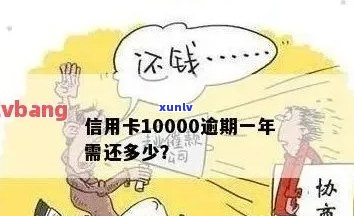 信用卡10000逾期-信用卡10000逾期一年,一共要还多少钱