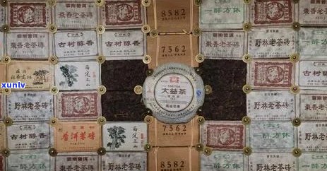 普洱茶珍藏：今大福的历、文化与投资价值