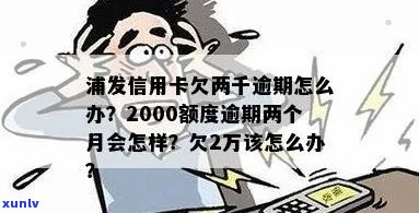 浦发2000信用卡逾期两年，怎么办？