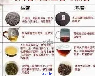 普洱生茶的香味来源：加香精还是自然陈化？