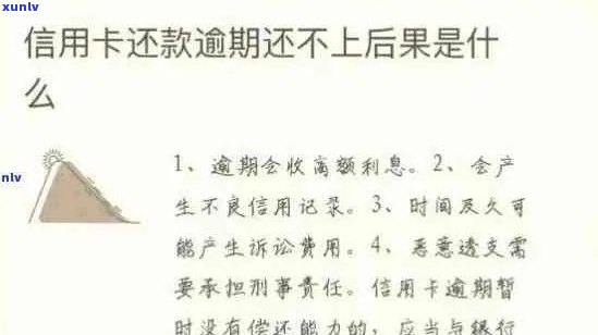 信用卡逾期还款困境：分期付款是否为解决方案？