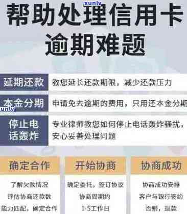 信用卡逾期后如何实现债务分期偿还，相关政策解读