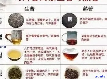 胡亭普洱茶：品鉴、选购、保存与冲泡全攻略，让你轻松掌握普洱茶的魅力！