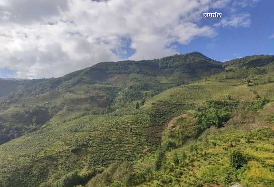 探索布朗山阿克寨：地理位置、历背景、景点推荐及旅游指南