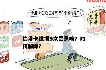 信用卡逾期记录消除：黑户解决方案全面解析