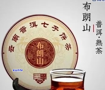 布朗老寨普洱茶：品质、产地、冲泡 *** 及价格全面解析，助您轻松挑选与品鉴