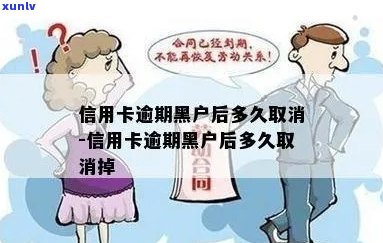 信用卡逾期黑户能消除