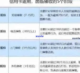 信用卡逾期还款后的全面处理策略：如何尽快消除逾期记录并避免影响信用评分