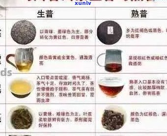 北京普洱茶品质如何？口感如何？选购与品饮技巧一应俱全！