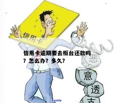 我信用卡逾期还款，应该怎么办？