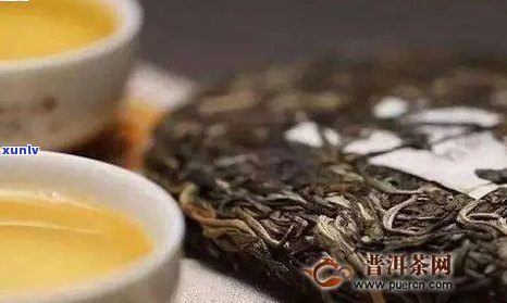 北京普洱茶哪里买好喝，北京哪里卖普洱茶好，北京普洱茶店推荐