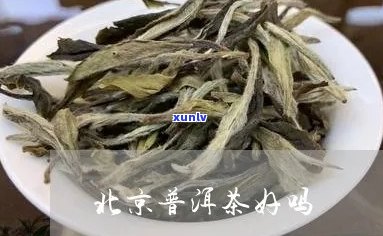 北京的普洱茶怎么样