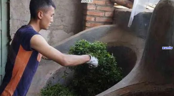 普洱茶炒制技巧：如何炒出好喝的普洱茶？