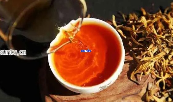 古树红茶与古树普洱茶：深入剖析两者区别与特点，助您轻松辨识与品鉴